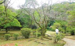 【北岡自然公園】自然あふれる庭園で歴史を学ぼう♪《熊本市中央区横手》