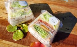 【sandwich cafe TATOMIYAｰタトミヤ】熊本サンドイッチ語るなら、まずはタトミヤ☆映え断面のサンドイッチ《熊本市中央区坪井》