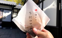 【天草 海まる(ｶｲﾏﾙ) 熊本城店】とろっとろの贅沢うにコロッケで幸せ噛みしめれます《熊本市中央区二の丸》