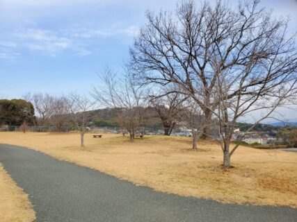 【万日山緑地公園】お花見スポット発見！桜の木の数が凄い！！山の上の、のんびり公園☆《熊本市西区春日》
