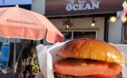 【OCEAN(オーシャン)】塩唐揚げがデカくて美味い♪ハンバーガーもオススメ《八代市松崎町》