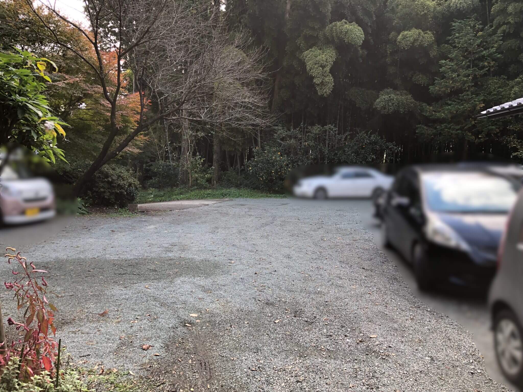 【郷乃恵（さとのめぐみ） 菊池郡大津町平川 】無農薬・無肥料！身体が喜ぶ自然派ランチ さるクマさるこう、熊本