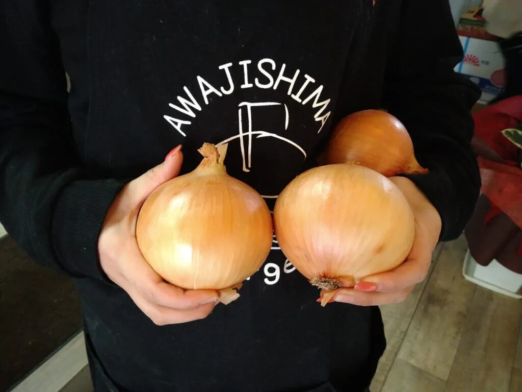 Onion