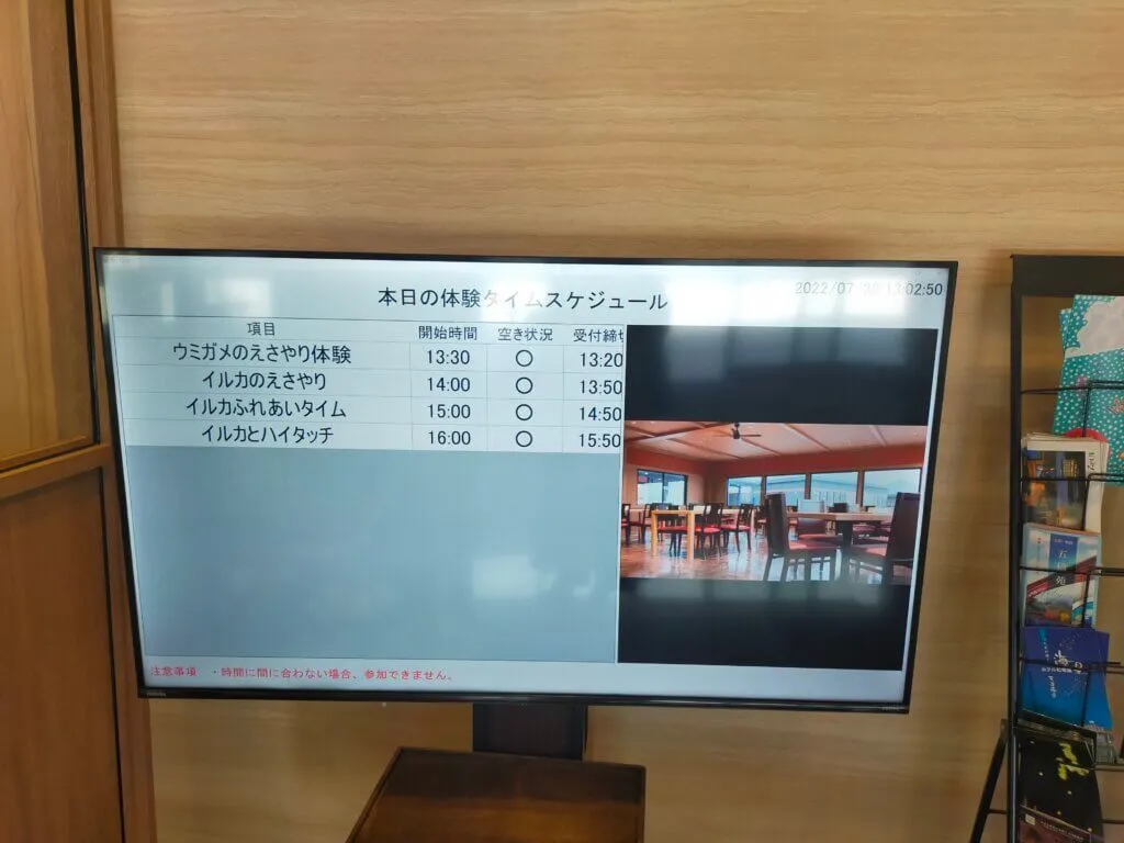 Sea turtle and dolphin schedule